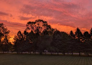 A vivid sunset over a treeline