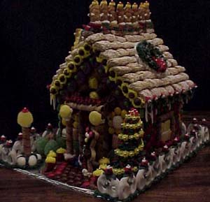 This is my house from an angle. I took the picture without the flash, that's why it's not as bright.