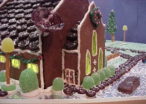 Here's another close up. Note the tiny lamps beside the doors too. Icing!