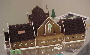 Then came the outlining in icing.