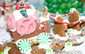 Gingerbread photo, 2007