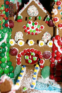Gingerbread photo, 2007