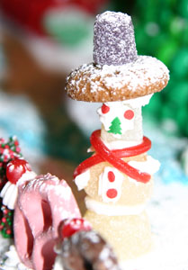 Another fun feature in the front yard was the snowman with his sombrero hat.