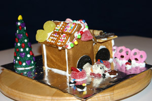 Another view of the front of the dog house. Some buried bone spots in the front of the doghouse too.