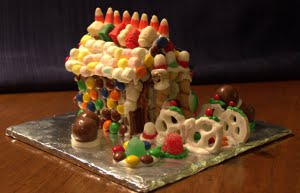 M made this house along with her 4 and 6 year old kids. It was their first time. The roof has two different designs on each side.