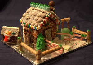 Shaya's house from the other front angle. Look at the awesome fences she made this year!