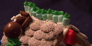 A close up of Shaya's roof. Nice work with the cake decorating tip!