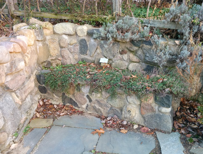 Rock wall corner garden box.