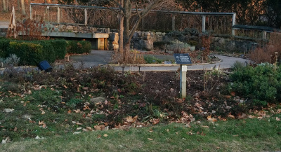 Front flower patches..