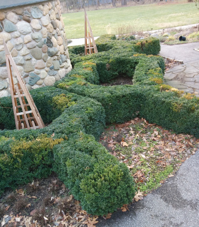 Six hexagon hedges.
