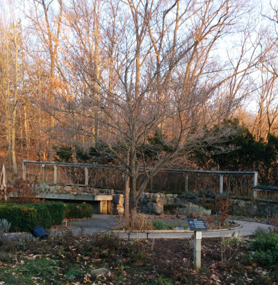 Winter trees on either side of the circle.